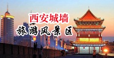 大鸡巴操大黑逼的视频中国陕西-西安城墙旅游风景区